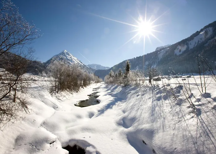 Moosbrugger Haus Herlinde Schoppernau